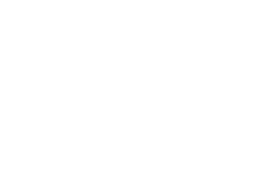 Le Femmes Chic